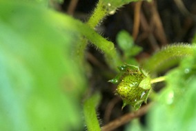 dscf2076