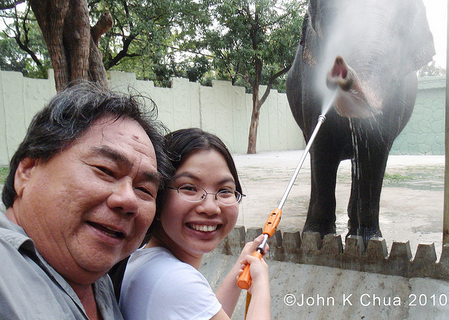 Papa, Maali the Elephant, and me